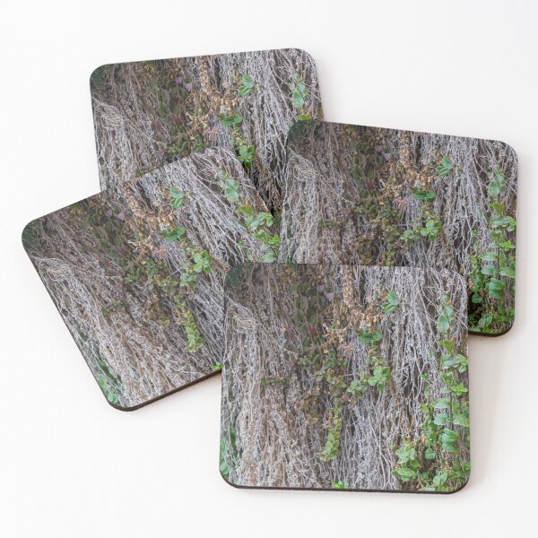 Item preview, Dried Vines With Fresh Green Leaves Clinging to Textured Wall Creating Organic Contrast designed and sold by Nmallia.