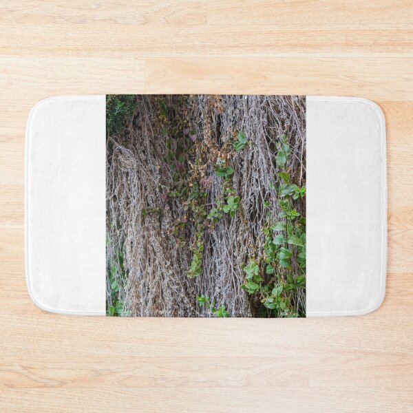 Item preview, Dried Vines With Fresh Green Leaves Clinging to Textured Wall Creating Organic Contrast designed and sold by Nmallia.