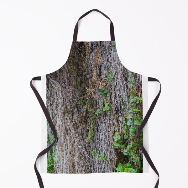Item preview, Dried Vines With Fresh Green Leaves Clinging to Textured Wall Creating Organic Contrast designed and sold by Nmallia.