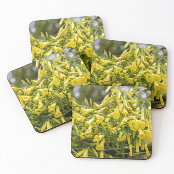 Item preview, Cluster of Yellow Trumpet Flowers Cascading Over Green Foliage in a Blooming Garden Scene designed and sold by Nmallia.