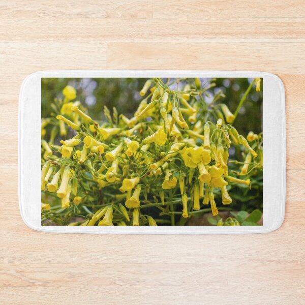 Item preview, Cluster of Yellow Trumpet Flowers Cascading Over Green Foliage in a Blooming Garden Scene designed and sold by Nmallia.