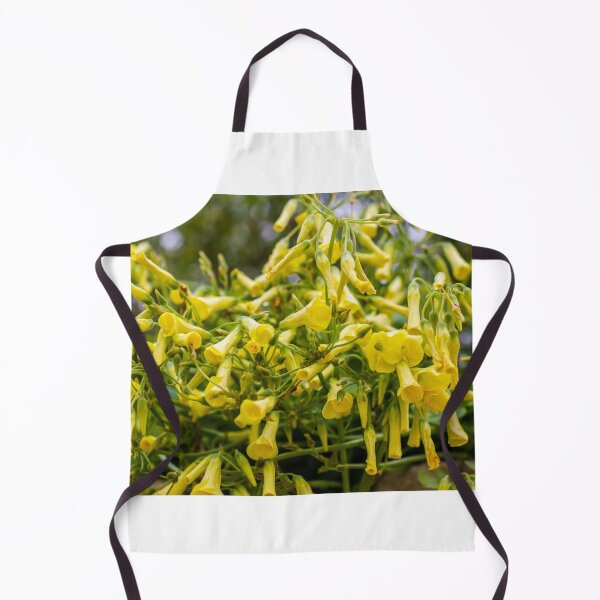 Item preview, Cluster of Yellow Trumpet Flowers Cascading Over Green Foliage in a Blooming Garden Scene designed and sold by Nmallia.