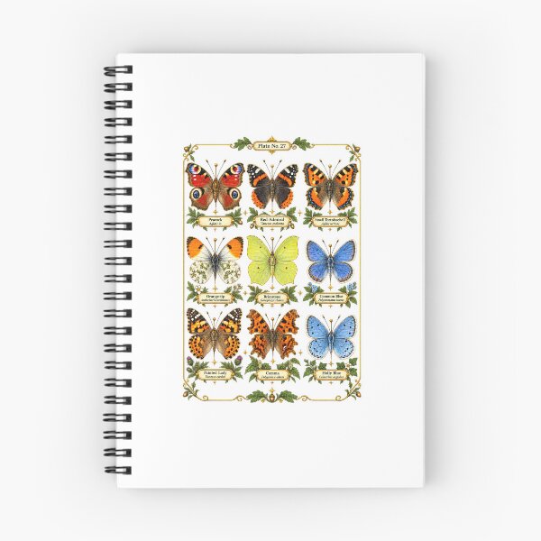 Item preview, Butterfly Identification Chart | Vintage Entomology Botanical Art | Naturalist Gift designed and sold by Brackenlume Studio.