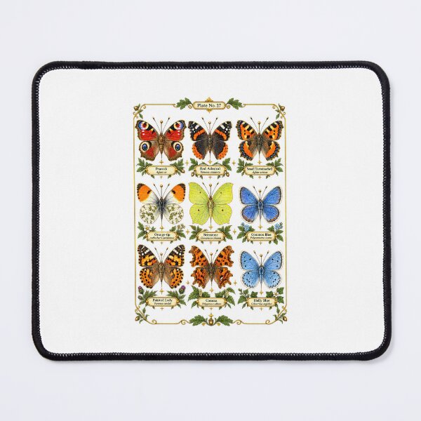 Item preview, Butterfly Identification Chart | Vintage Entomology Botanical Art | Naturalist Gift designed and sold by Brackenlume Studio.