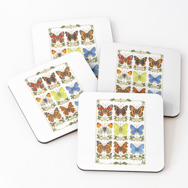 Item preview, Butterfly Identification Chart | Vintage Entomology Botanical Art | Naturalist Gift designed and sold by Brackenlume Studio.