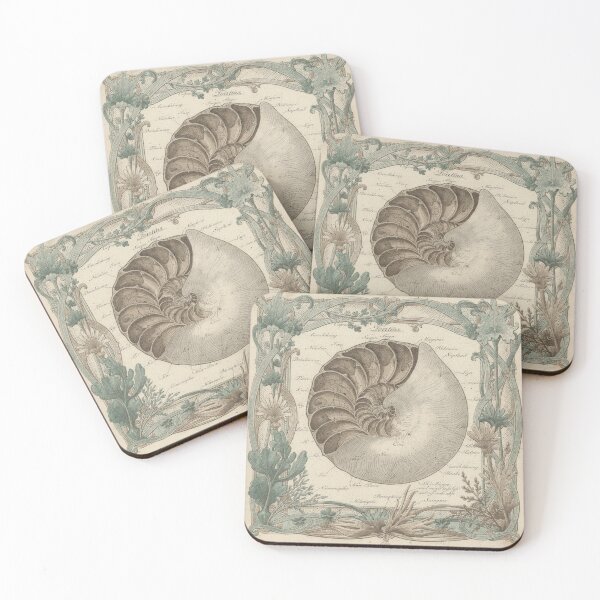 Item preview, Vintage Chambered Nautilus Specimen Natural History Plate designed and sold by PictorialWhimsy.