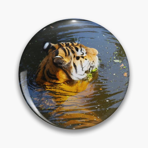 Item preview, Bathing Tiger designed and sold by Murph's Images.