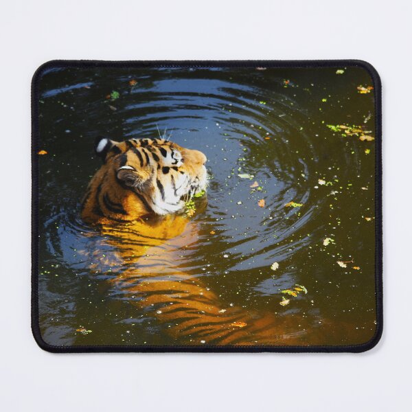 Item preview, Bathing Tiger designed and sold by Murph's Images.