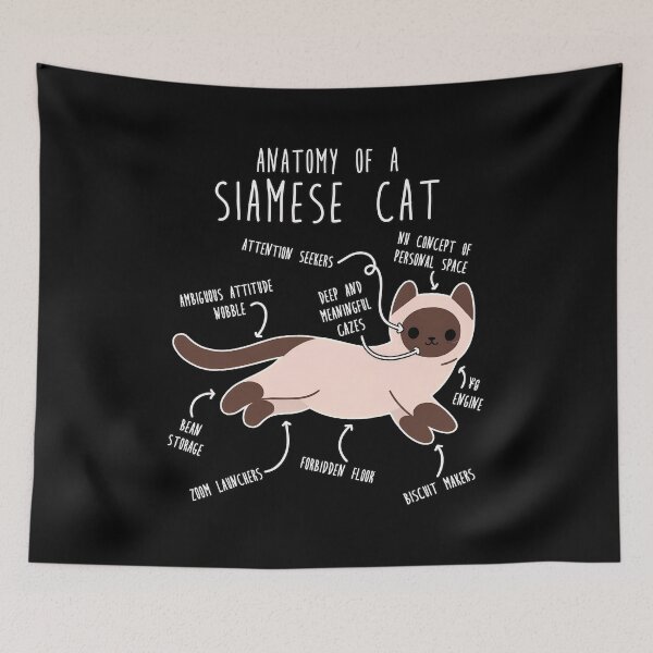 Item preview, Anatomy of a Siamese Cat Funny Cat Lover Gift designed and sold by OlyvieArt.
