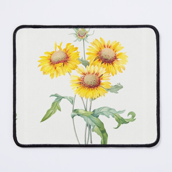 Item preview, Blanket Flower Flowers Vintage Botanical Illustration designed and sold by TheRetroArtRoom.