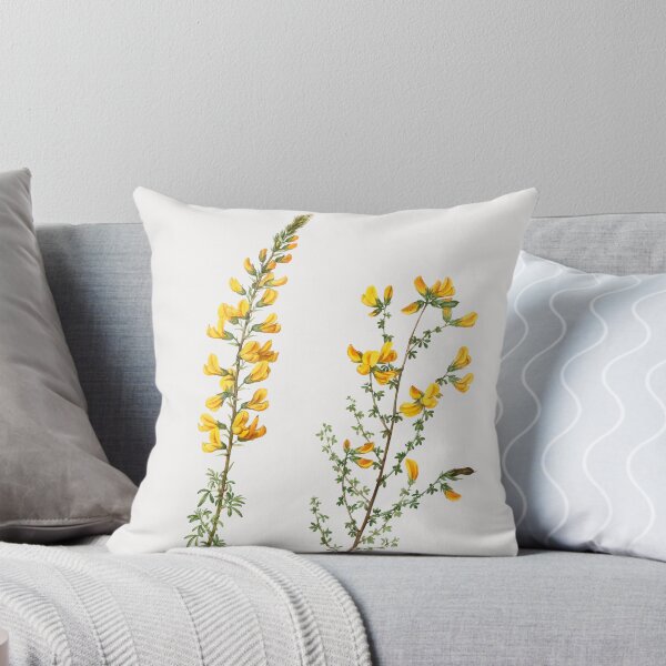 Item preview, Cytisus Flower Flowers Vintage Botanical Illustration designed and sold by TheRetroArtRoom.