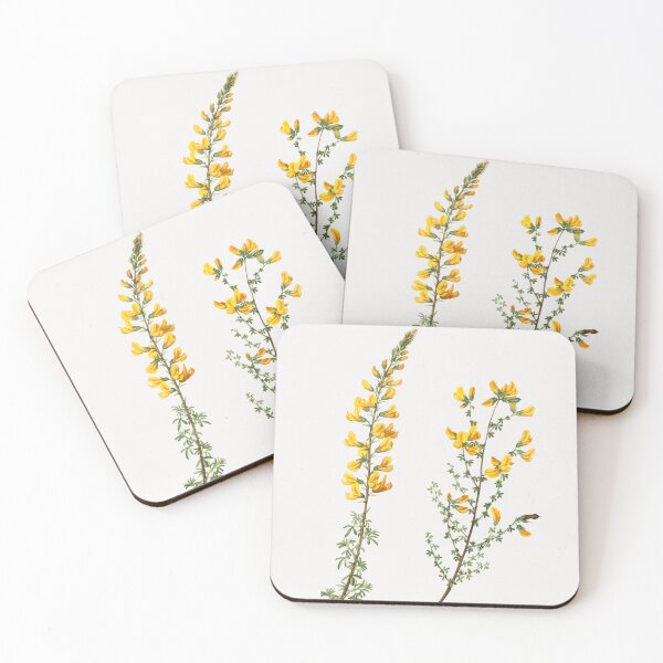 Item preview, Cytisus Flower Flowers Vintage Botanical Illustration designed and sold by TheRetroArtRoom.