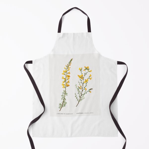 Item preview, Cytisus Flower Flowers Vintage Botanical Illustration designed and sold by TheRetroArtRoom.