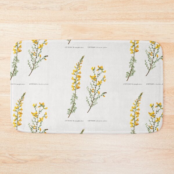 Item preview, Cytisus Flower Flowers Vintage Botanical Illustration designed and sold by TheRetroArtRoom.