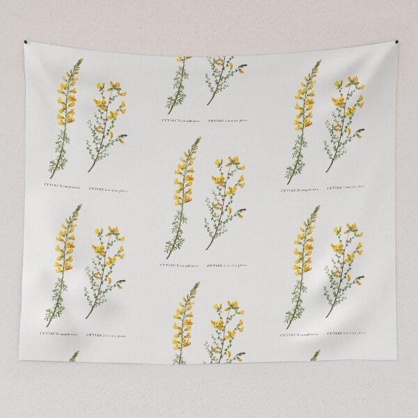 Item preview, Cytisus Flower Flowers Vintage Botanical Illustration designed and sold by TheRetroArtRoom.