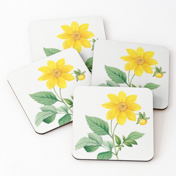 Item preview, Dahlia Flower Flowers Vintage Botanical Illustration designed and sold by TheRetroArtRoom.