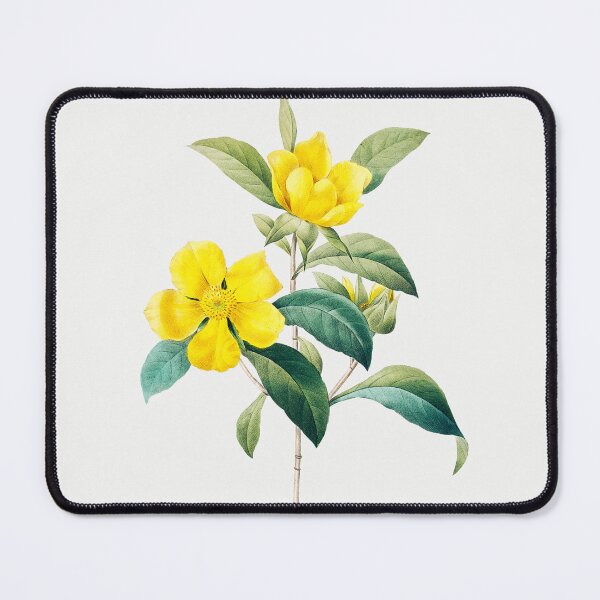 Item preview, Guinea Flowers Vintage Botanical Illustration designed and sold by TheRetroArtRoom.