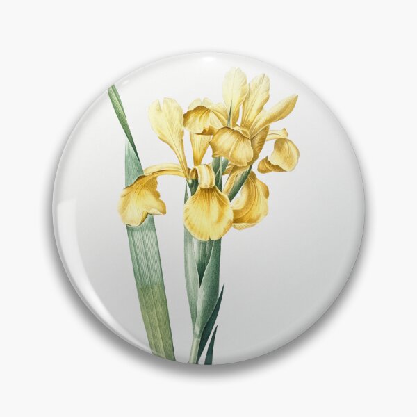 Item preview, Iris Monnieri Flowers Vintage Botanical Illustration designed and sold by TheRetroArtRoom.