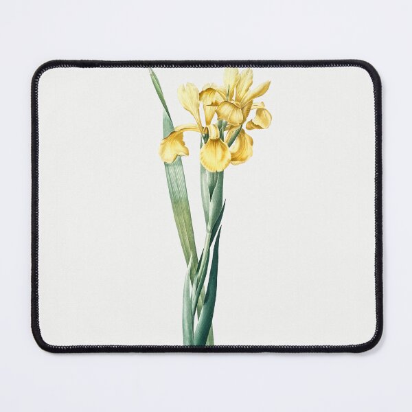 Item preview, Iris Monnieri Flowers Vintage Botanical Illustration designed and sold by TheRetroArtRoom.
