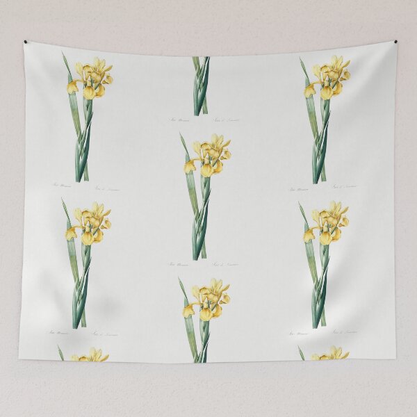 Item preview, Iris Monnieri Flowers Vintage Botanical Illustration designed and sold by TheRetroArtRoom.