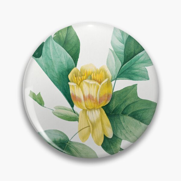 Item preview, Tulip Tree Flowers Vintage Botanical Illustration designed and sold by TheRetroArtRoom.