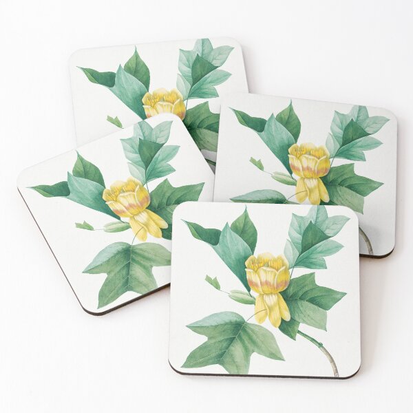 Item preview, Tulip Tree Flowers Vintage Botanical Illustration designed and sold by TheRetroArtRoom.