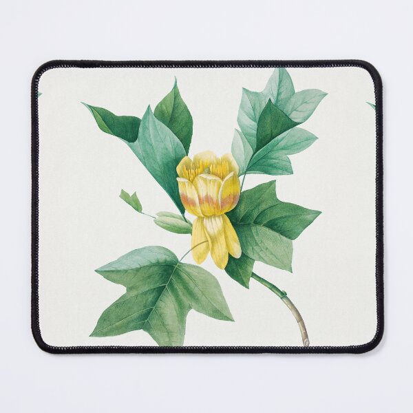 Item preview, Tulip Tree Flowers Vintage Botanical Illustration designed and sold by TheRetroArtRoom.