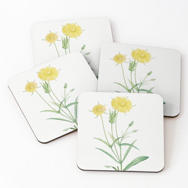 Item preview, Mesembryanthemum Flowers Vintage Botanical Illustration designed and sold by TheRetroArtRoom.