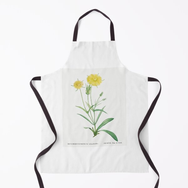 Item preview, Mesembryanthemum Flowers Vintage Botanical Illustration designed and sold by TheRetroArtRoom.