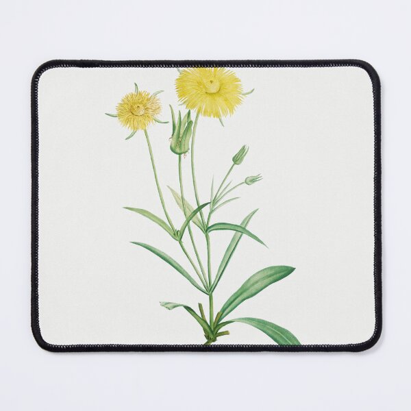 Item preview, Mesembryanthemum Flowers Vintage Botanical Illustration designed and sold by TheRetroArtRoom.