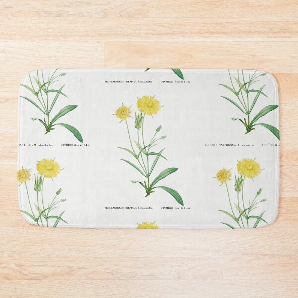 Item preview, Mesembryanthemum Flowers Vintage Botanical Illustration designed and sold by TheRetroArtRoom.