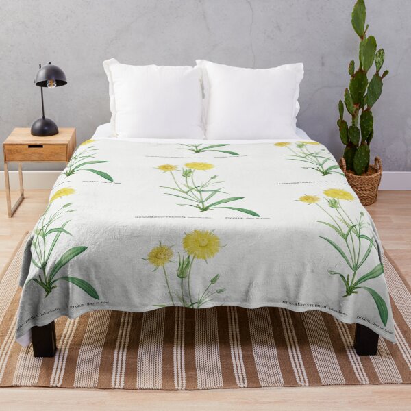 Item preview, Mesembryanthemum Flowers Vintage Botanical Illustration designed and sold by TheRetroArtRoom.