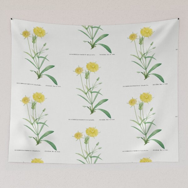 Item preview, Mesembryanthemum Flowers Vintage Botanical Illustration designed and sold by TheRetroArtRoom.