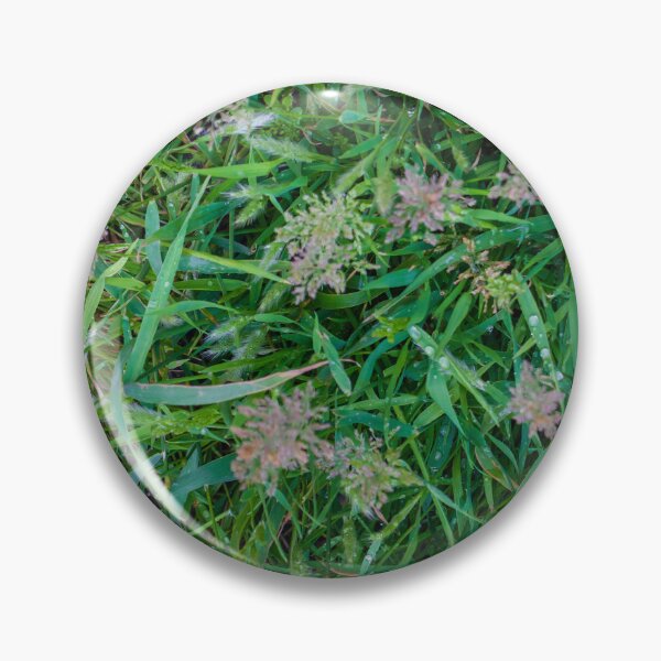 Item preview, Close-Up Green Grass and Wild Seedheads With Morning Dew on Natural Lawn designed and sold by Nmallia.