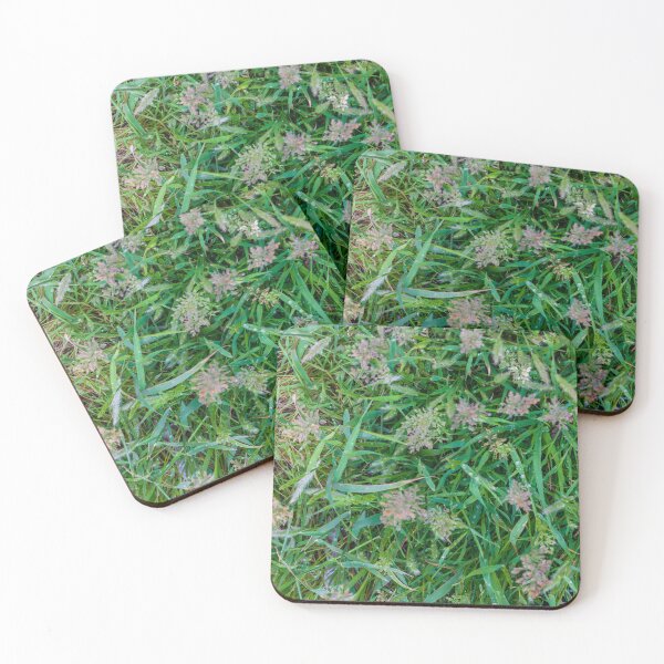 Item preview, Close-Up Green Grass and Wild Seedheads With Morning Dew on Natural Lawn designed and sold by Nmallia.