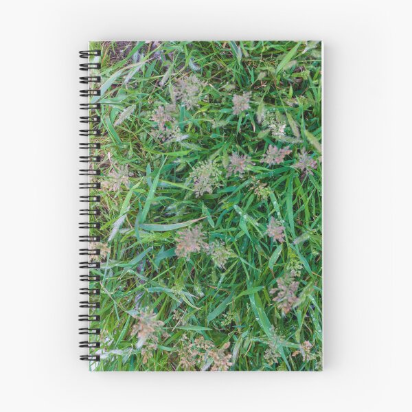 Item preview, Close-Up Green Grass and Wild Seedheads With Morning Dew on Natural Lawn designed and sold by Nmallia.