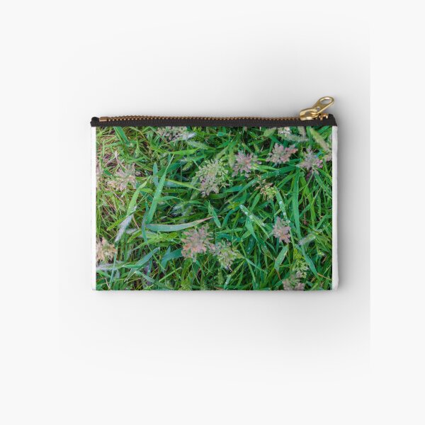 Item preview, Close-Up Green Grass and Wild Seedheads With Morning Dew on Natural Lawn designed and sold by Nmallia.