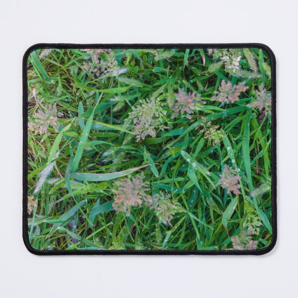 Item preview, Close-Up Green Grass and Wild Seedheads With Morning Dew on Natural Lawn designed and sold by Nmallia.