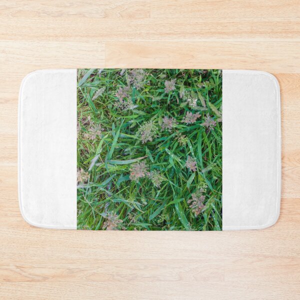 Item preview, Close-Up Green Grass and Wild Seedheads With Morning Dew on Natural Lawn designed and sold by Nmallia.