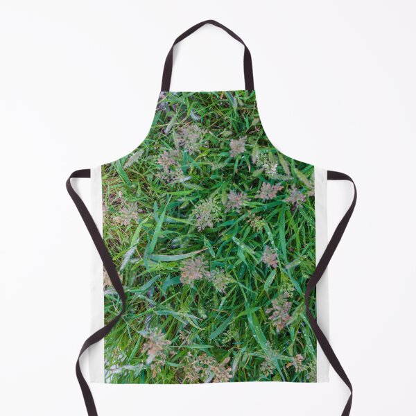 Item preview, Close-Up Green Grass and Wild Seedheads With Morning Dew on Natural Lawn designed and sold by Nmallia.