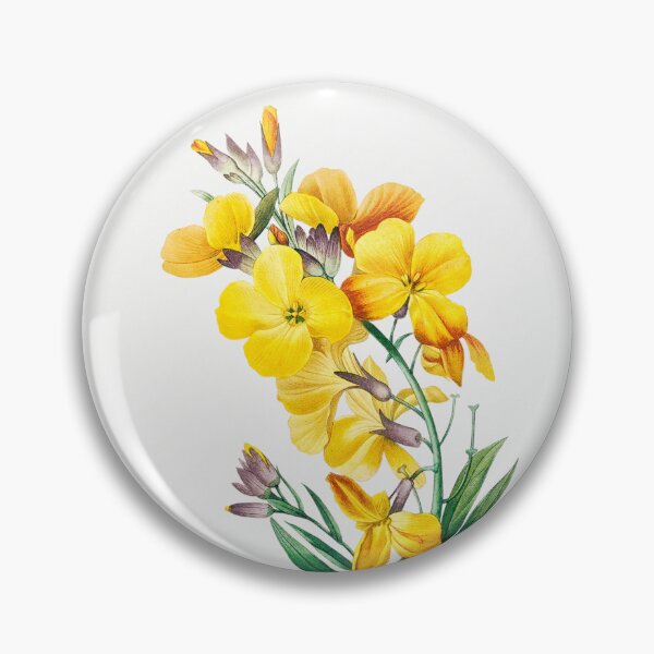 Item preview, Wallflower Flowers Vintage Botanical Illustration designed and sold by TheRetroArtRoom.