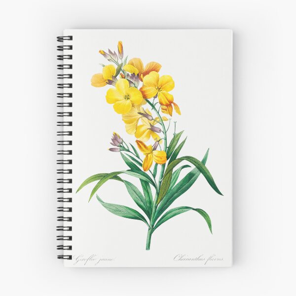 Item preview, Wallflower Flowers Vintage Botanical Illustration designed and sold by TheRetroArtRoom.