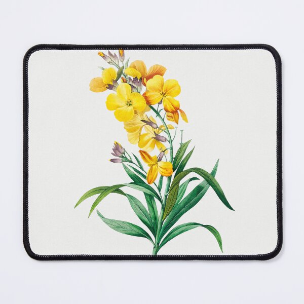 Item preview, Wallflower Flowers Vintage Botanical Illustration designed and sold by TheRetroArtRoom.