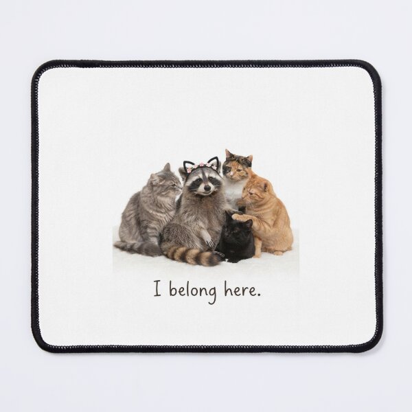 Item preview, I belong here raccoon trash panda funny sarcastic sarcasm cat kitten kitty parody christmas birthday designed and sold by CheeseBlueprint.