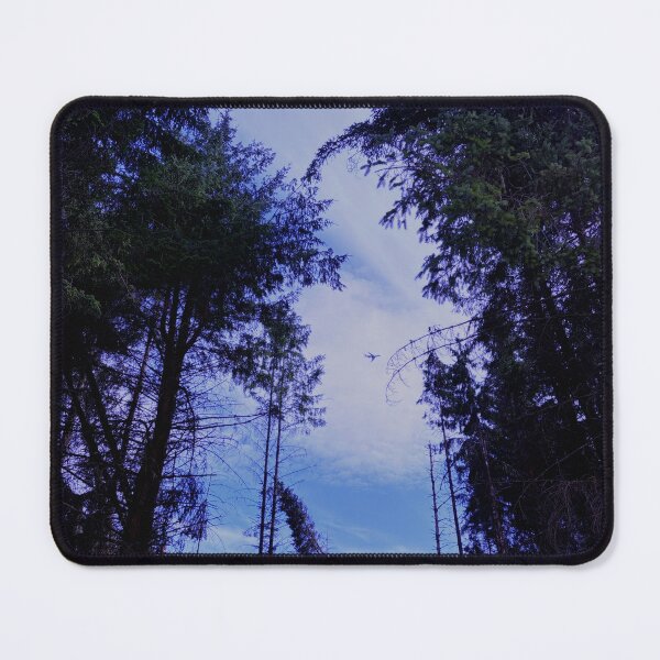 Item preview, airplane soaring through the trees (lennoxtown, glasgow, scotland) (july 2026) designed and sold by photosbykel.