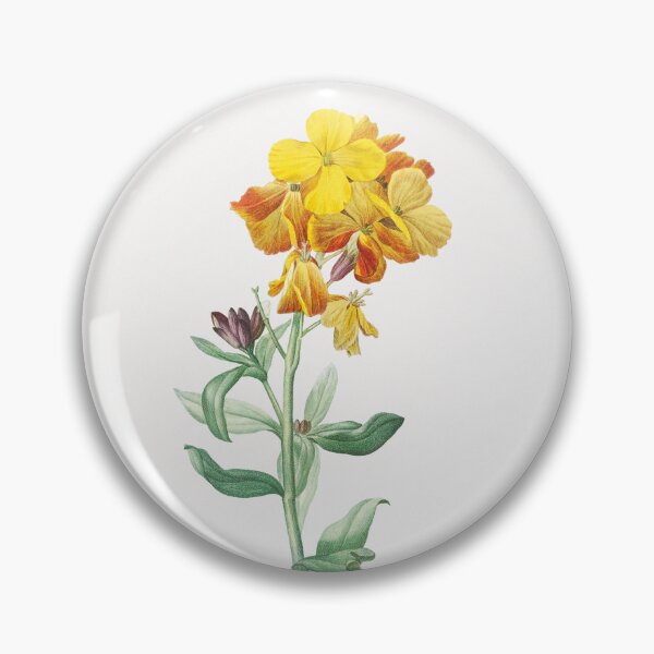 Item preview, Wallflower Flowers Vintage Botanical Illustration designed and sold by TheRetroArtRoom.