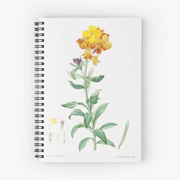 Item preview, Wallflower Flowers Vintage Botanical Illustration designed and sold by TheRetroArtRoom.