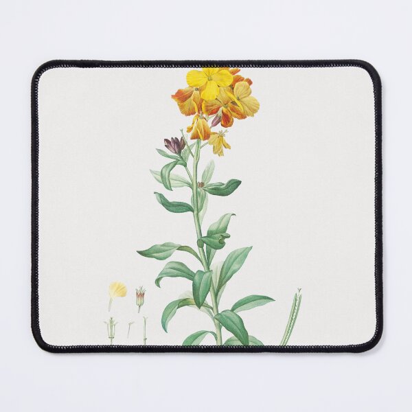 Item preview, Wallflower Flowers Vintage Botanical Illustration designed and sold by TheRetroArtRoom.