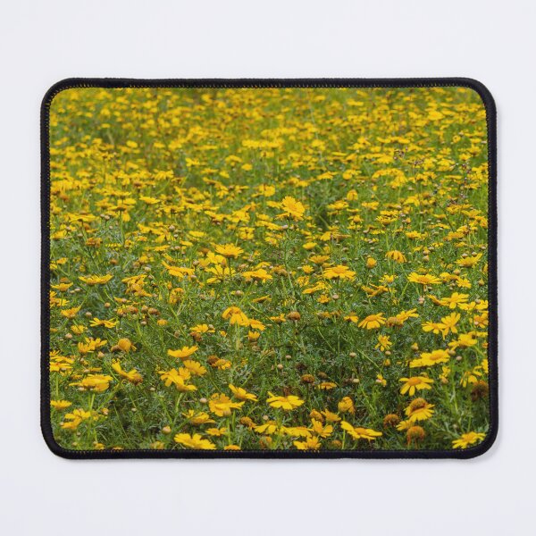 Item preview, Expansive Yellow Flower Field With Wild Daisies Blooming In Sunny Meadow Landscape designed and sold by Nmallia.