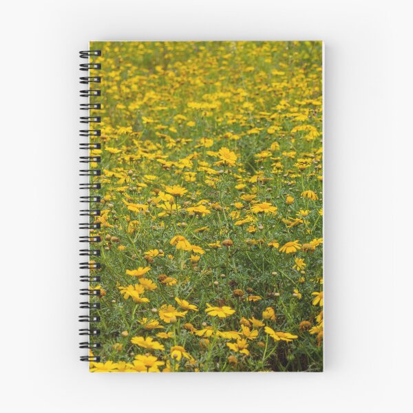 Item preview, Expansive Yellow Flower Field With Wild Daisies Blooming In Sunny Meadow Landscape designed and sold by Nmallia.